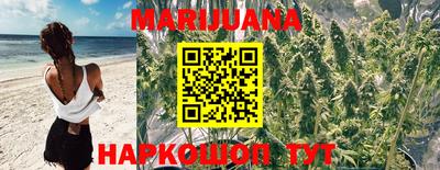 прущий лед Новозыбков