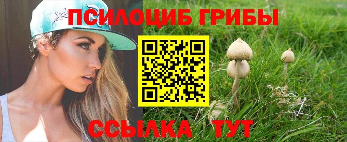 Галлюциногенные грибы мухоморы Ставрополь
