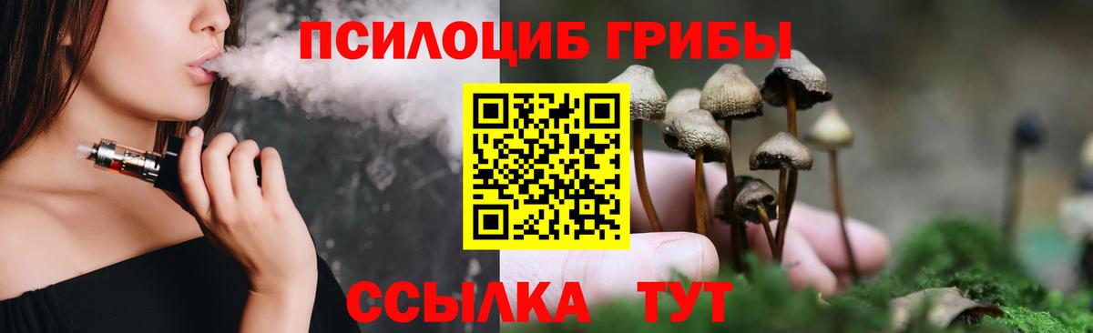 Псилоцибиновые грибы Psilocybe  Псилоцибиновые грибы Psilocybe  Вход с VPN  Ставрополь 